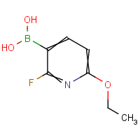 6-Ethoxy-2-fluoropyridine-3-boronic acid