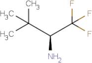 (S)-2,2-Dimethyl-1-trifluoromethyl-propylamine