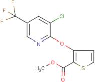 Methyl 3-[3-chloro-5-(trifluoromethyl)pyridin-2-yloxy]thiophene-2-carboxylate