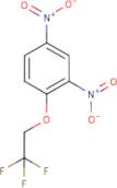 1,3-Dinitro-4-(2,2,2-trifluoroethoxy)benzene