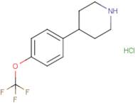4-[4-(Trifluoromethoxy)phenyl]piperidine hydrochloride