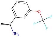 (S)-1-(3-(Trifluoromethoxy)phenyl)ethan-1-amine