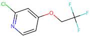 2-Chloro-4-(2,2,2-trifluoroethoxy)pyridine