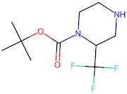 tert-Butyl 2-(trifluoromethyl)piperazine-1-carboxylate