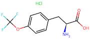 (S)-2-Amino-3-(4-(trifluoromethoxy)phenyl)propanoic acid hydrochloride