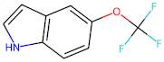 5-(Trifluoromethoxy)-1H-indole