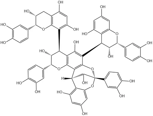 Parameritannin A1