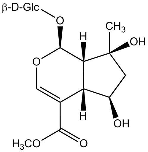 Shanzhiside methyl ester