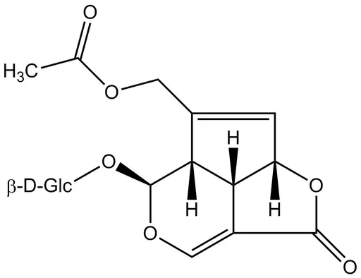 Asperuloside