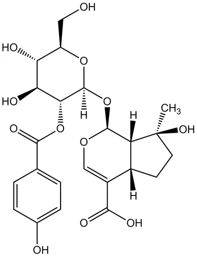 Negundoside