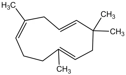 α-Humulene