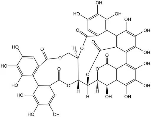 Vescalagin