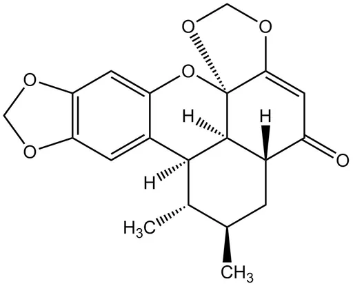 Sauchinone