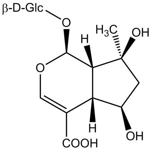 Shanzhiside
