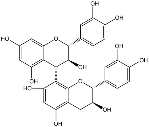 Procyanidin B3