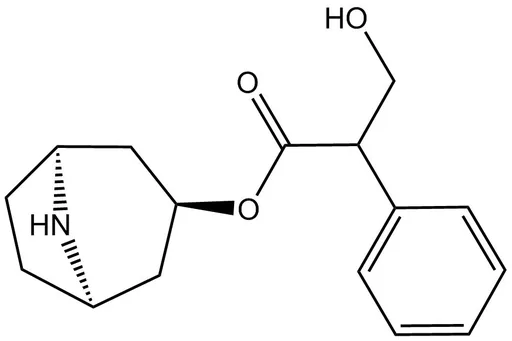 Noratropine