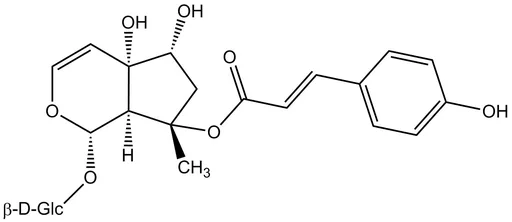 8-p-Coumaroylharpagide