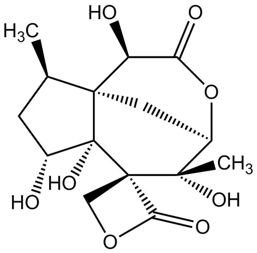 Anisatin