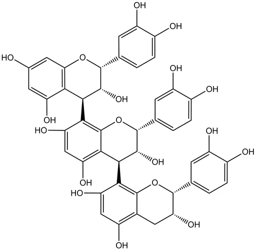 Procyanidin C1