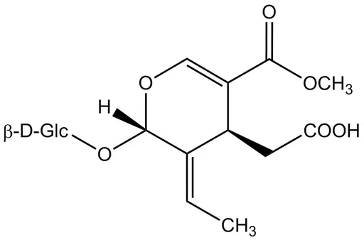 Oleoside 11-methyl ester