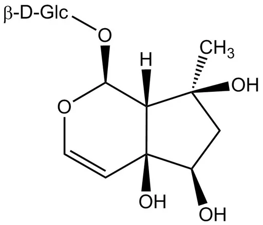 Harpagide