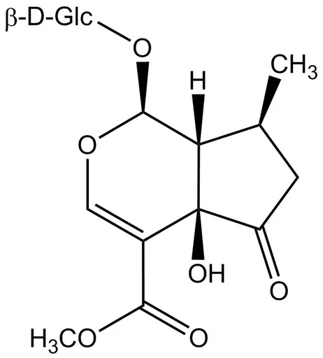 Hastatoside