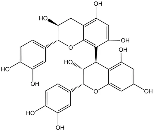 Procyanidin B1