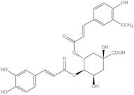 3-feruloyl-4-caffeoylquinic acid
