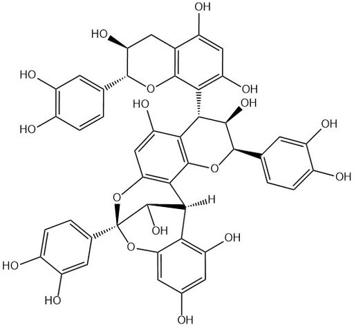 Cinnamtannin D1