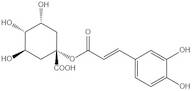 1-caffeoylquinic acid
