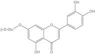 Luteolin 7-glucuronide