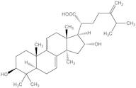 Dehydrotumulosic acid