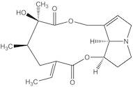 Integerrimine