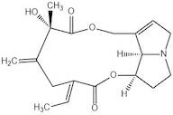 Spartioidine