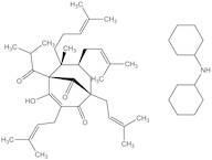 Hyperforin (stable dicyclohexylammonium salt)