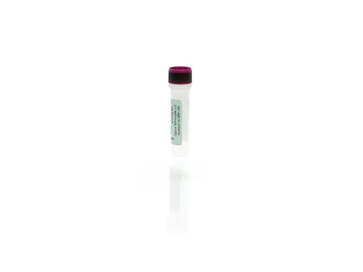 Insulin Antigen Concentrate