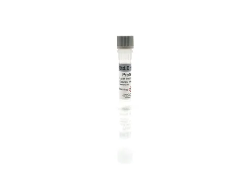 Protein A Standard E