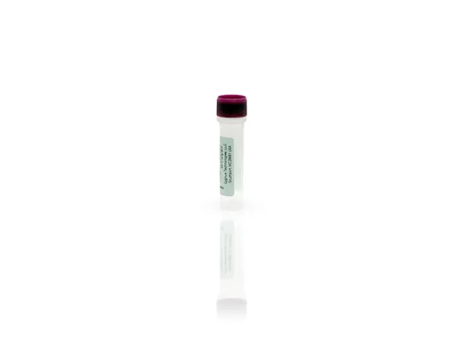 CHO Control Antigen
