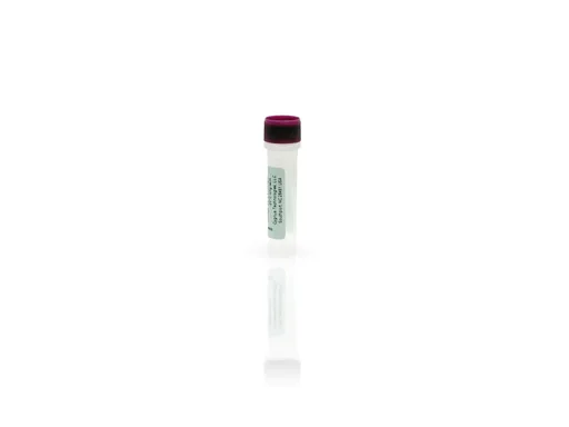 CHO-CM HCP Antigen Concentrate