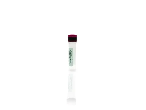 Bovine IgG Antigen Concentrate