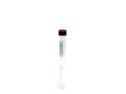 Mouse IgM Standards Set, A-F