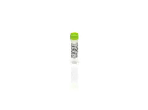 E. coli HCP Antigen Concentrate, WB
