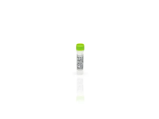 E. coli HCP 2G Antigen Concentrate