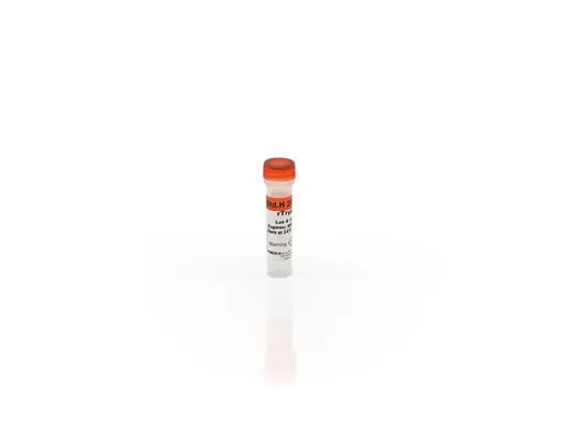 rTrypsin Standard H