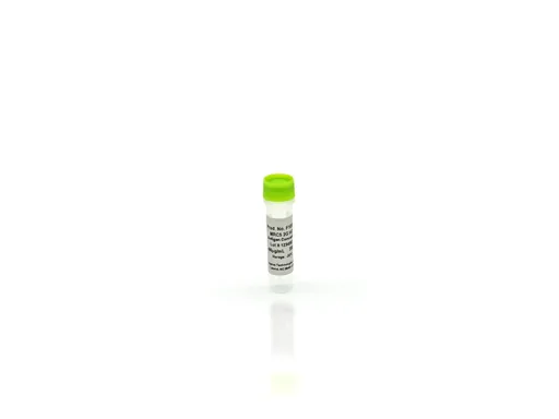 MRC5 2G Antigen Concentrate