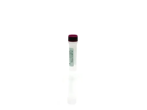 S. cerevisiae Antigen Concentrate
