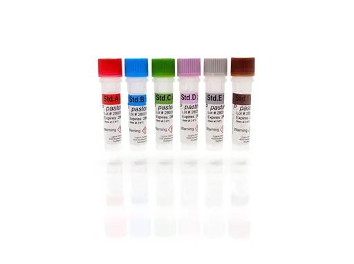 P. pastoris HCP Standards Set, A-F