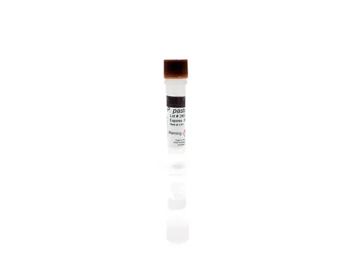P. pastoris HCP Standard F