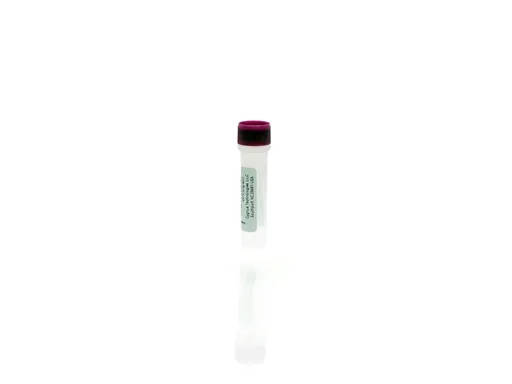 NS/0 Antigen Concentrate