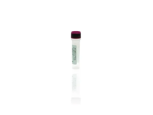 A549 HCP Control Antigen